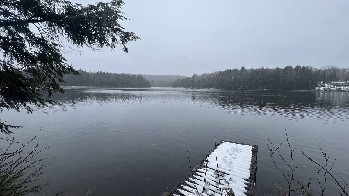 Unorganized North East Parry Sound Cabin | Off-Grid Forest Cabin on Beautiful Lake in Almaguin Highlands