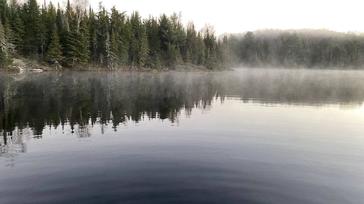Wollaston Cabin | Off Grid Getaway. Water Access only! Luxury in the woods.