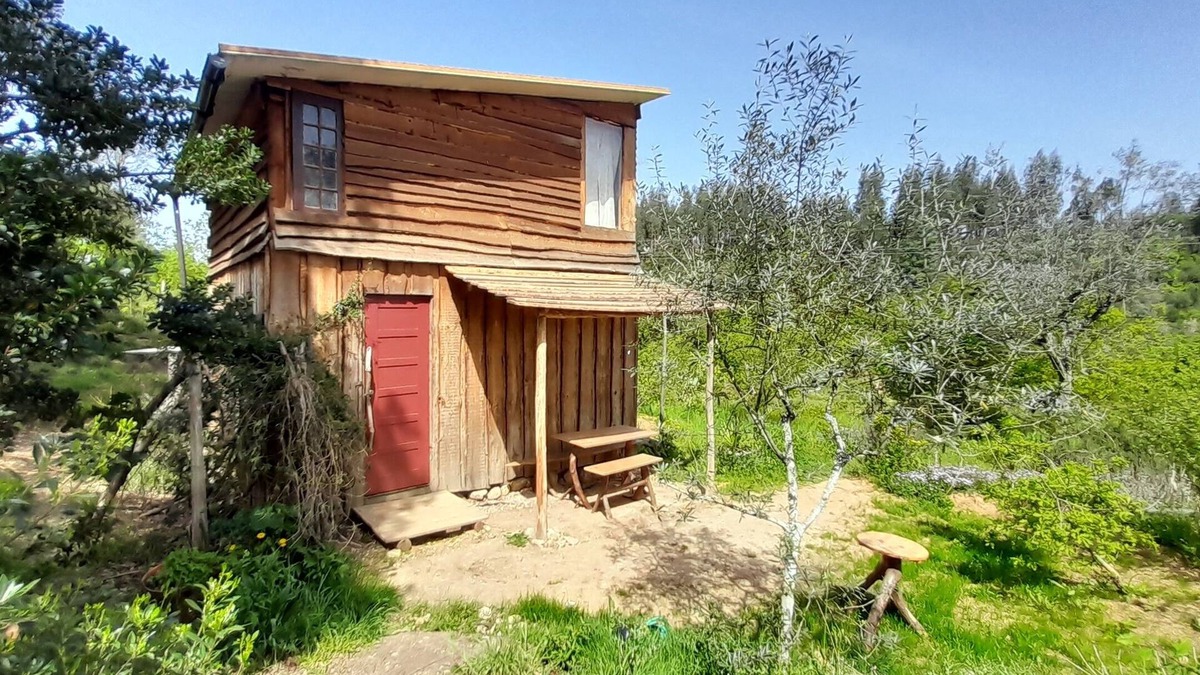 Moitas Cabin | Off-grid, romantic wooden cabin with library and cottage gardens