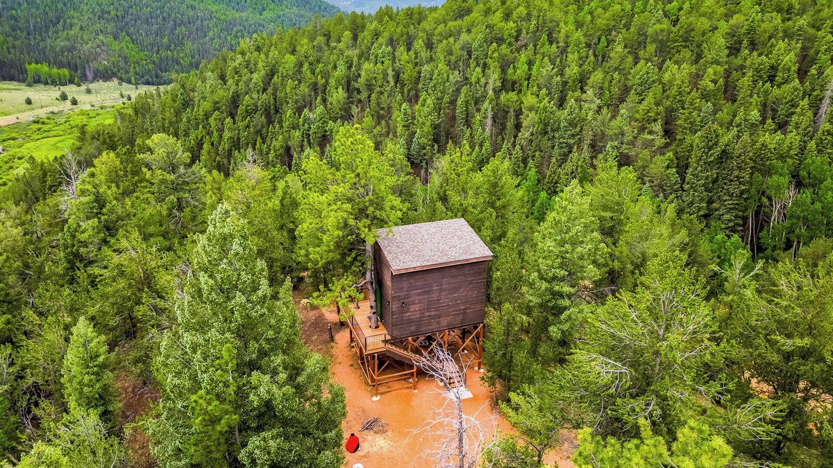 Divide Cabin | Off-Grid Tiny House Treehouse, re-live your childhood fantasy and dream!
