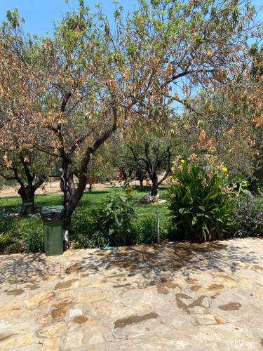 Datca Apartment | Okyanus apart second floor number 7