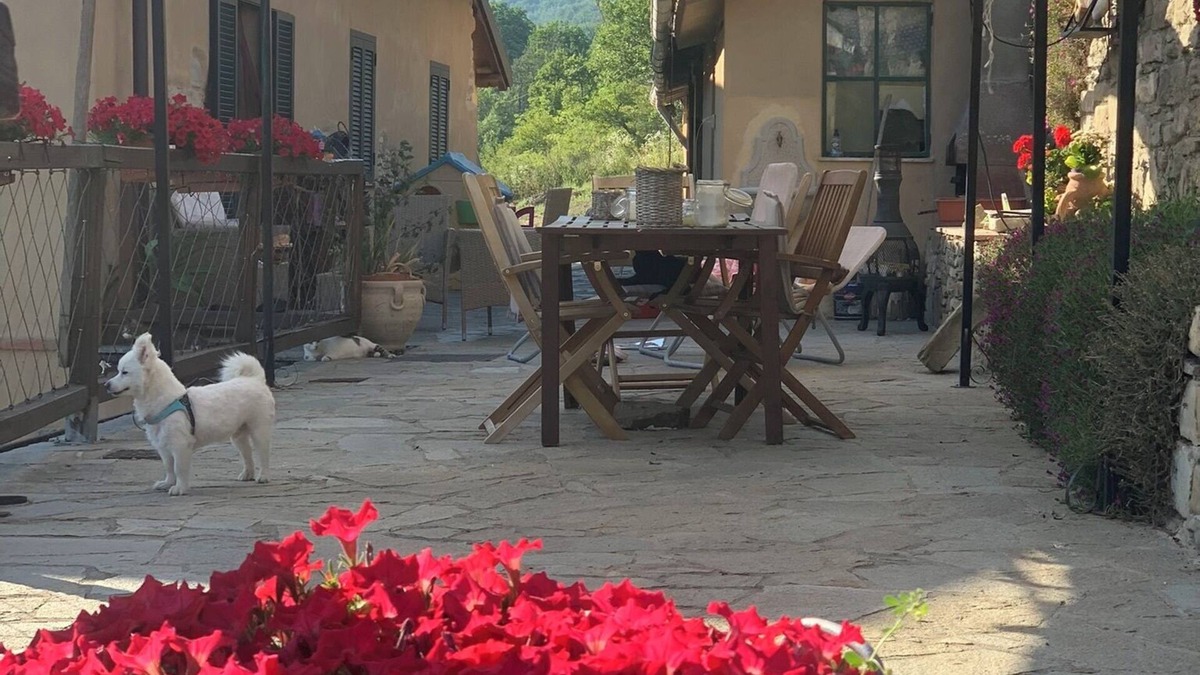 Merana Apartment | Old Barn in Cascina on the Langa Astigiana among the badlands with pets allowed