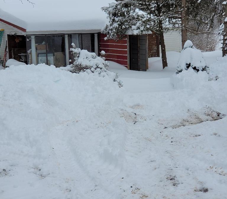 Attica House | Old Buffalo rd Cabin
