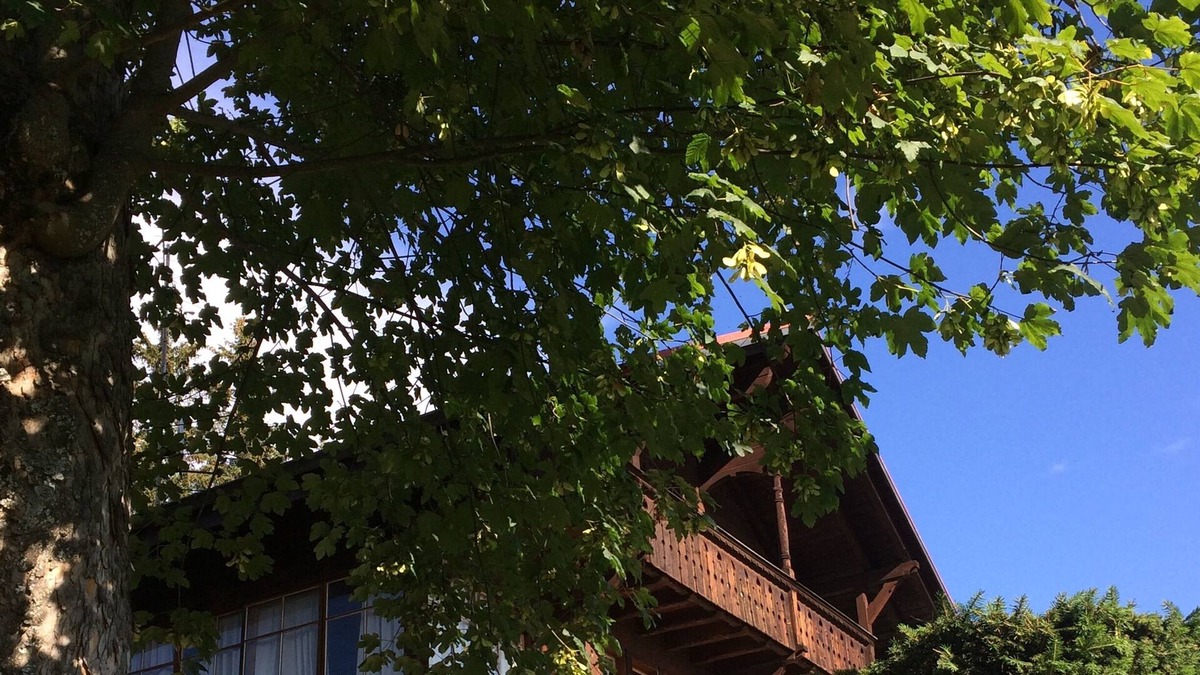 Villars-sur-Ollon Ski Chalet | Old chalet with lots of charm and panoramic view