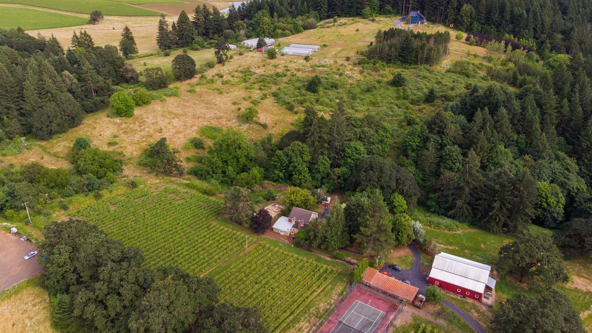 Newberg House | Old Farm: A Modern-day 5-bedroom Farmhouse on Vineyard with Hot Tub!