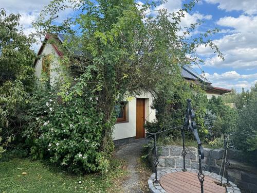 Stare Hradiste Apartment | Old Fortress Garden Studio