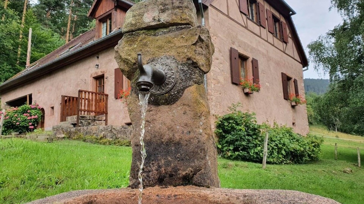 Fouchy House | Old freestone farm built in 1880 in the middle of Alsace and nature