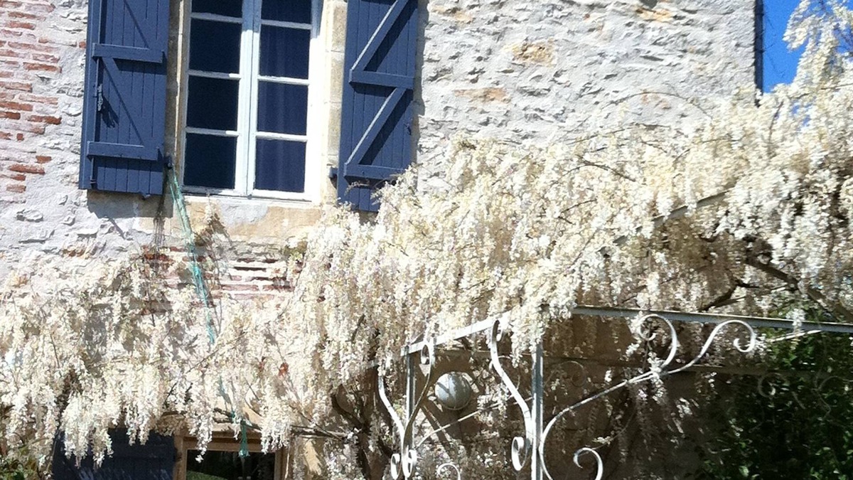 Arcambal House | Old house in lush greenery on the road to St Cirq Lapopie