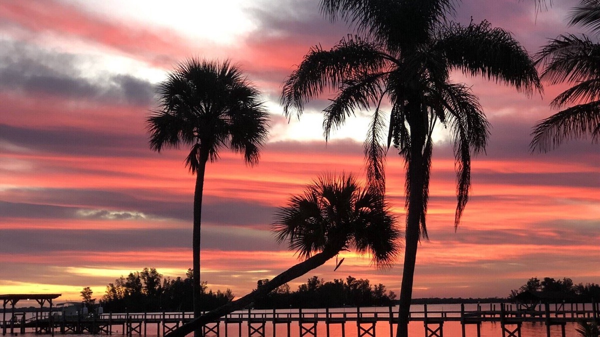 Sebastian House | Old Palm Waterfront Private and Secluded Tropical Paradise
