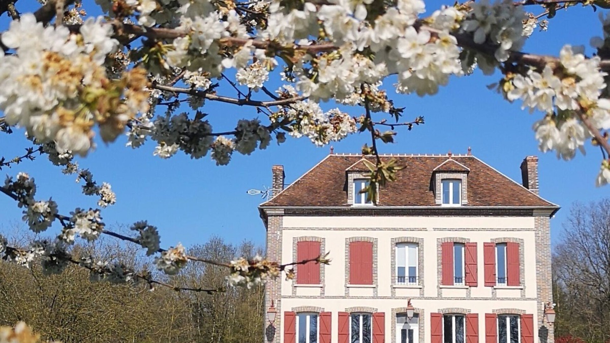 Villeneuve-sur-Yonne House | Old renovated tile in the forest