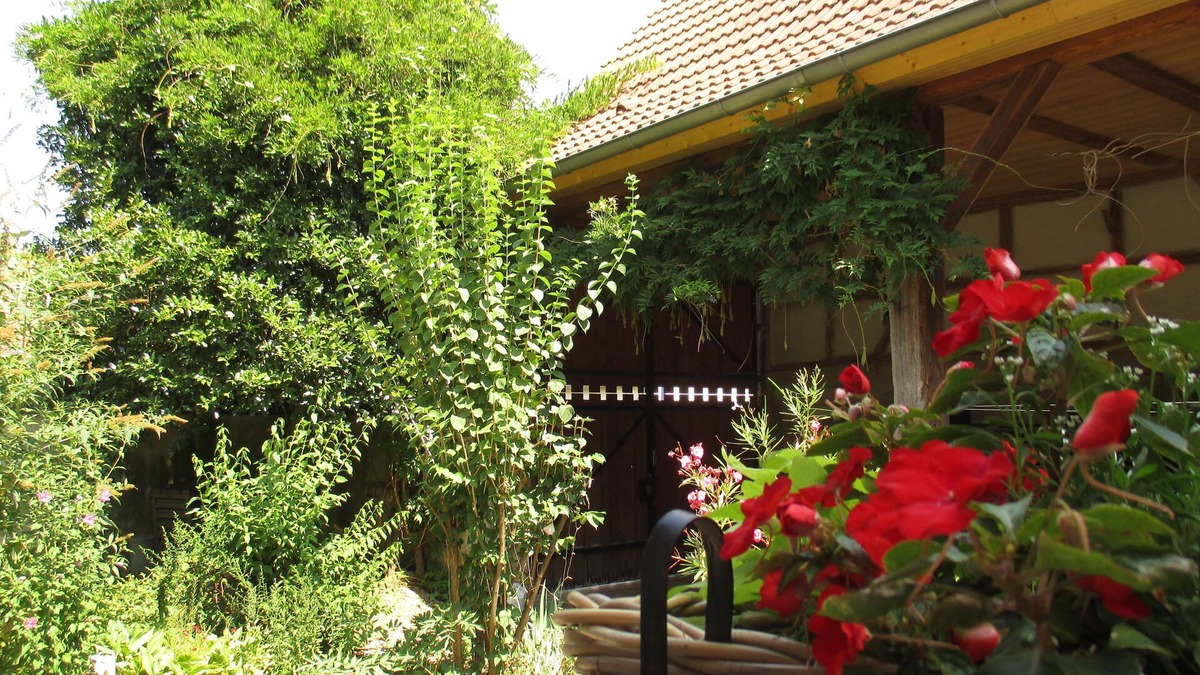 Epfig Apartment | Old stable converted into a cottage with garden, parking, and two bathrooms
