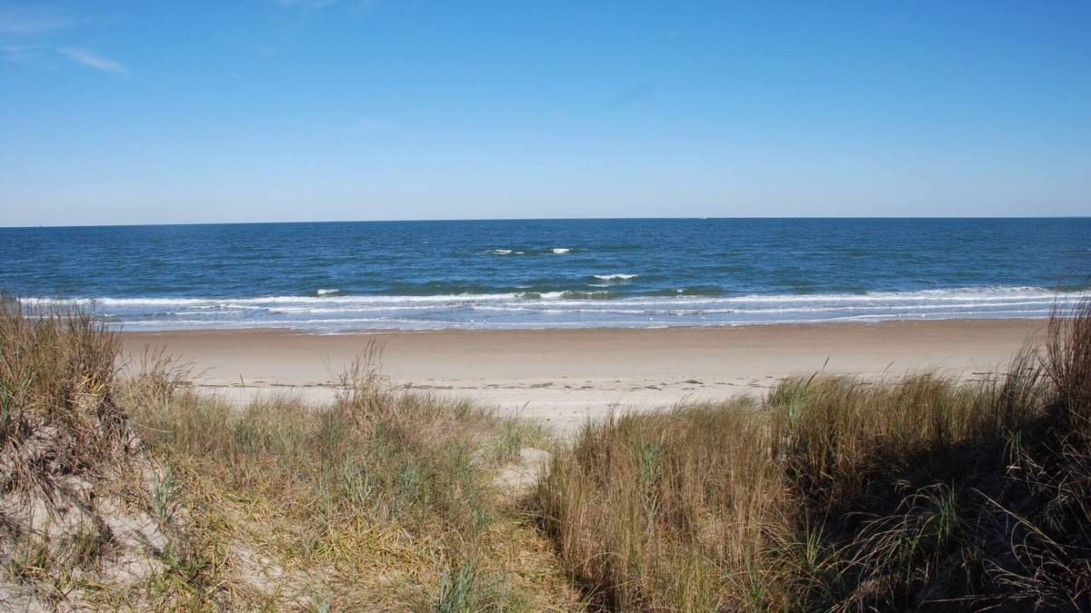 Cottage Line Cottage | Old Time Beach Front Cottage - The Beach is your Backyard! (Pet Friendly) by RedAwning
