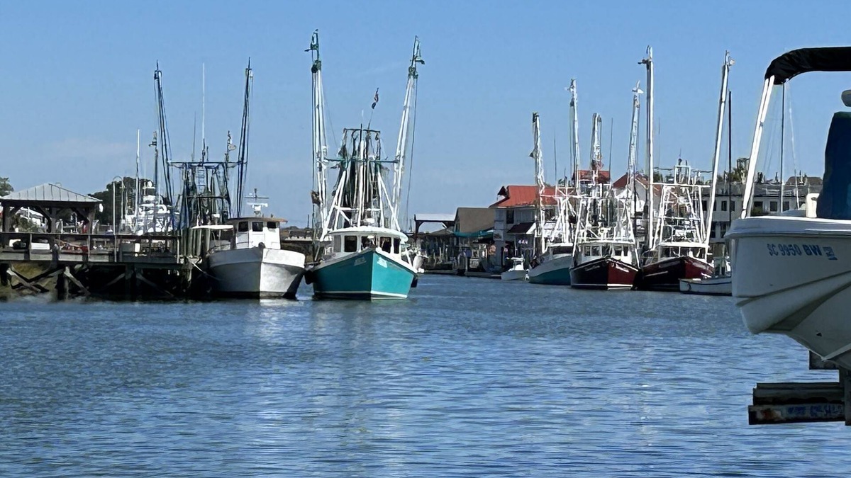 Old Village House | Old Village Mt. Pleasant/Alhambra Hall/Ocean Walk!