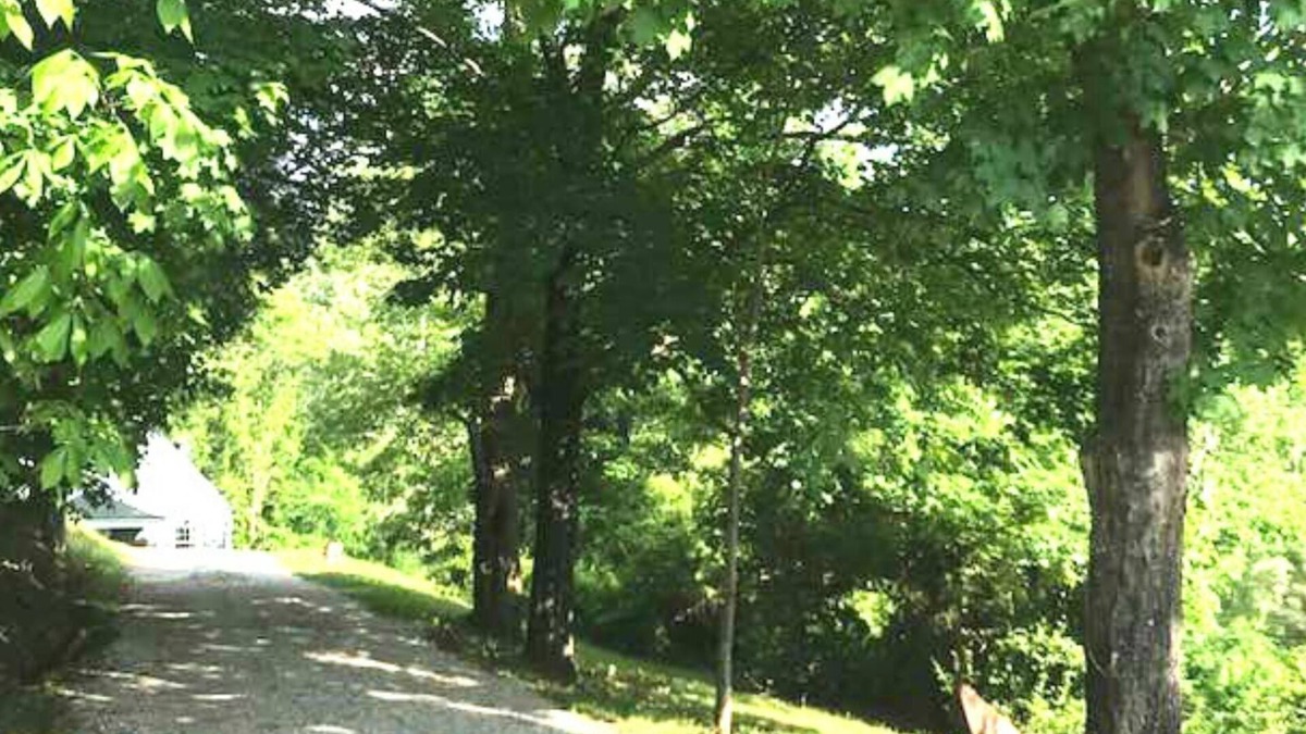 Cross Lanes Cottage | Old Woodland Acres "Industrial-Rustic" Cottage