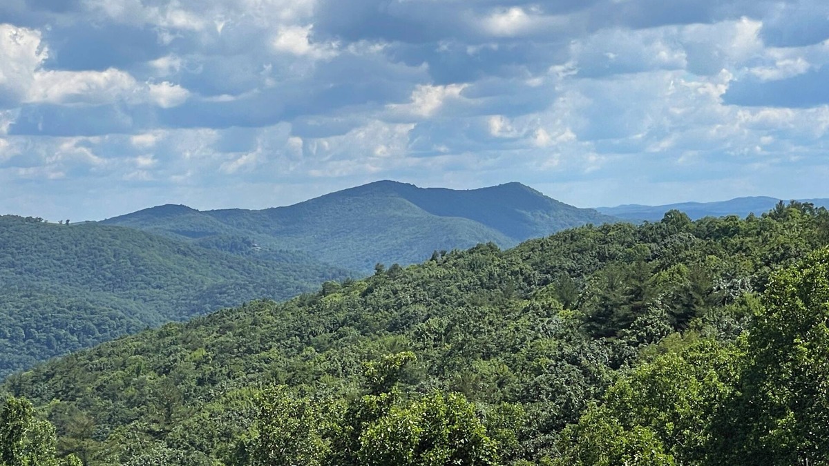 Roaring Gap Condo | Olde Beau Golf/Blue Ridge Mountains Golf/Resort 1BR 1BA Condo PET FRIENDLY!