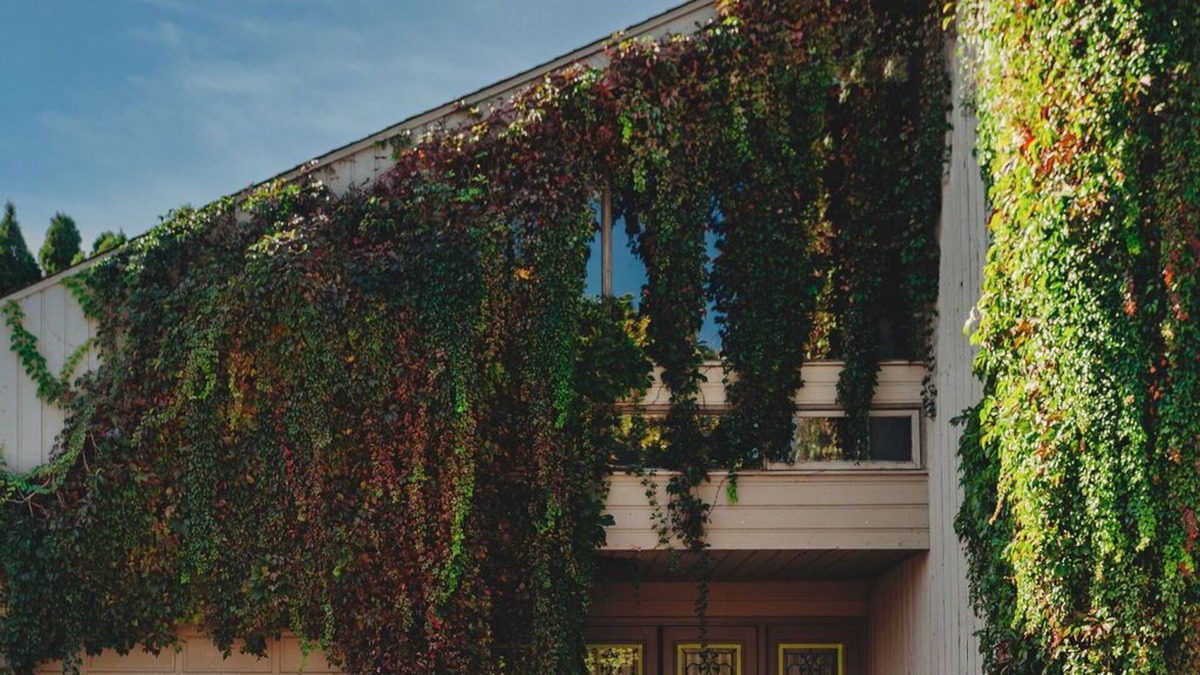Black Mountain Villa | Olga's Okanagan 14 Acre Villa!