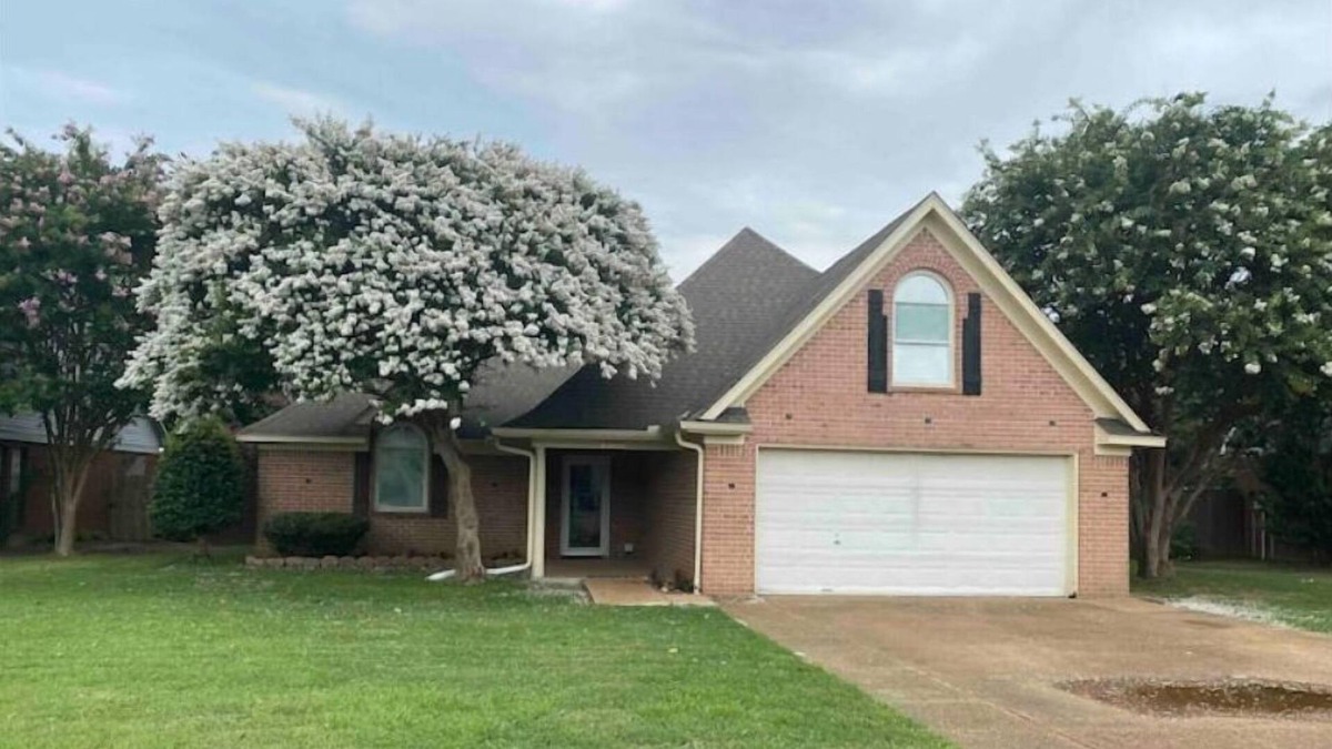 Olive Branch House | Olive Branch Mi Casa Es Su Casa