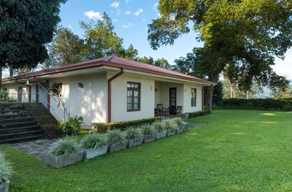 Welimada Cabin | Olive Bungalow