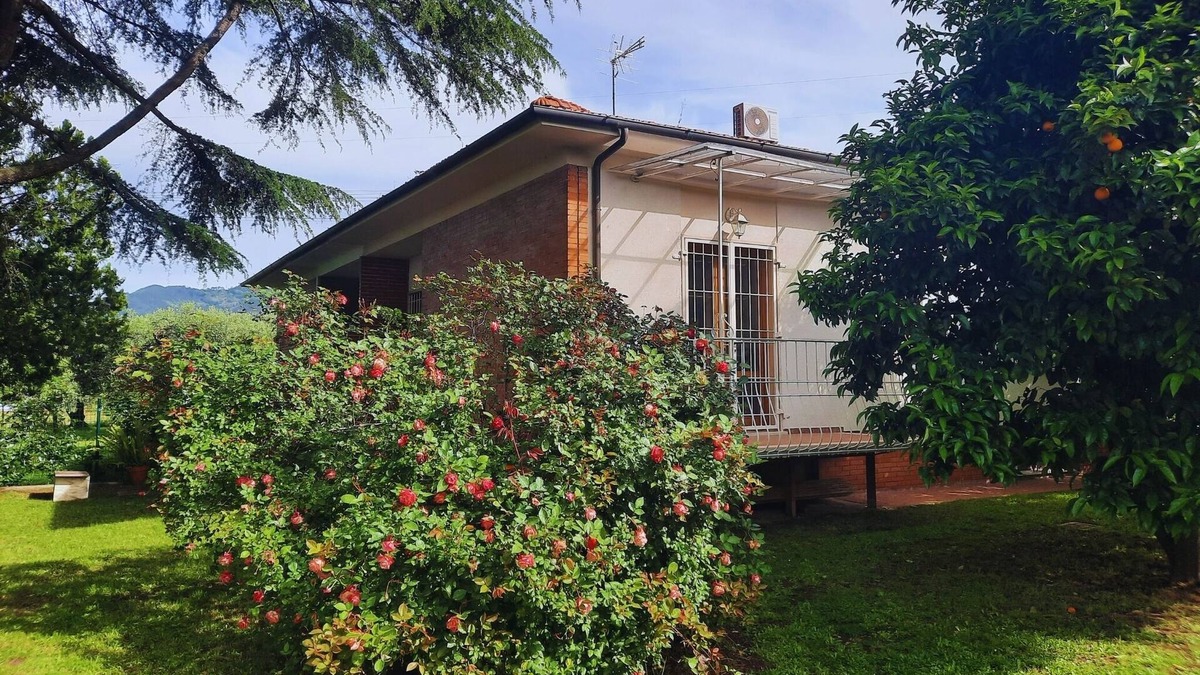 Ripa-Pozzi-Ponterosso House | Olive Grove Garden House With Mountain View Close to Forte dei Marmi