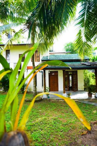Seeduwa - Katunayake House | Olive Green Villa in Negombo for Airport Transit