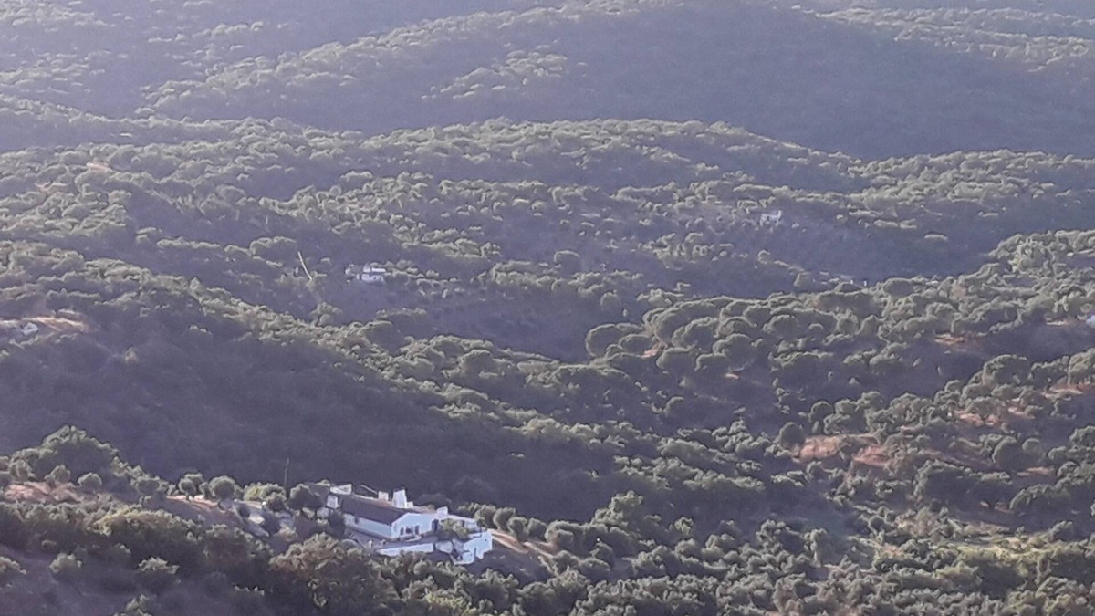 Estremoz Cottage | Olive Tree Cottage set in the Quinta de Evoramonte