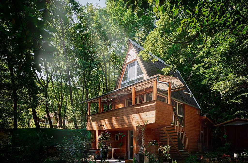 Kismaros House | Olive Tree Forest Cabin Original