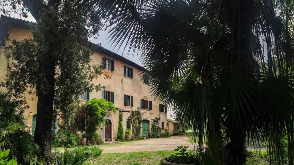 Riotorto Bed & Breakfast | Olive Tree Suite Apartment
