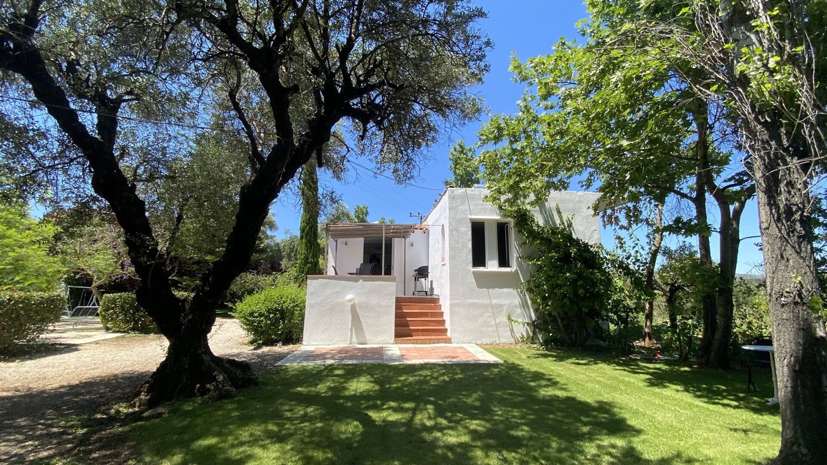Tsikalaria House | Olivetree is set in our beautiful landscaped gardens close to the pool