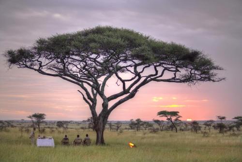 Serengeti National Park Other | Olmara Camp