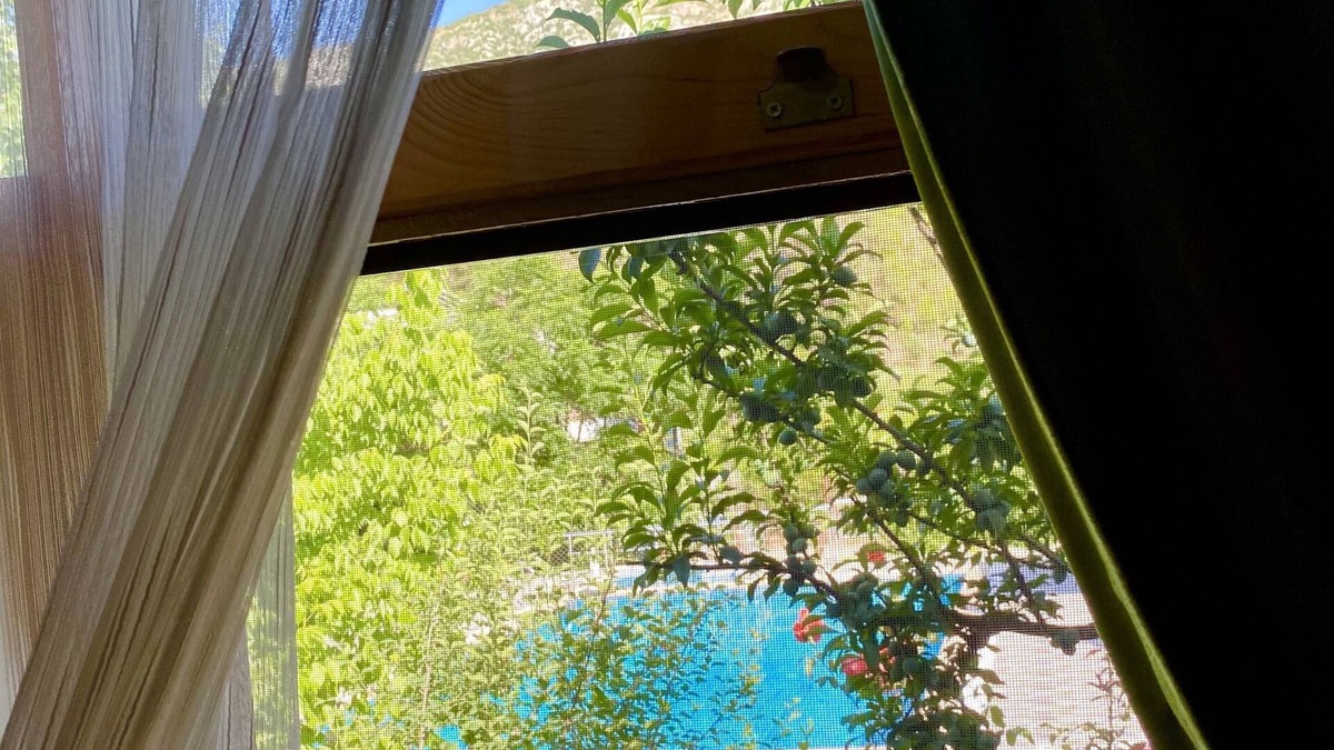 Olympos Hotel | Olympos Simar Pansiyon