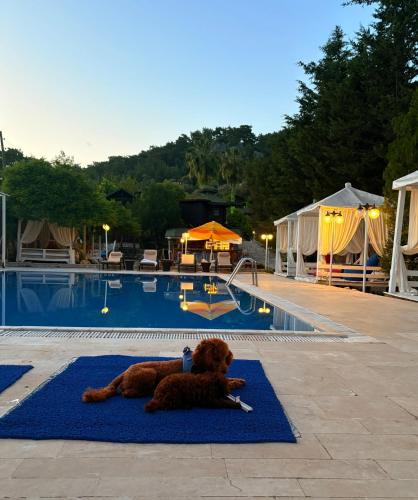 Olympos Resort | Olympos Talara by Arzum
