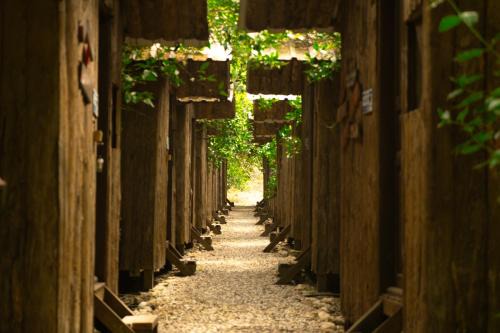 Olympos Resort | Olympos Yakamoz Pansiyon