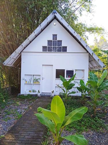 Bangunjiwo House | Omah Pralon - Tirto