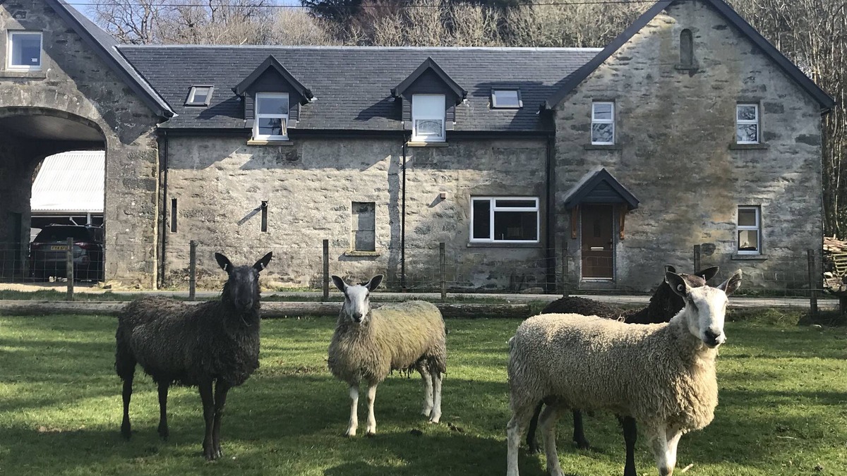 Lochgilphead Cottage | On a private hill farm estate. Set in stunning scenery close to the coast.