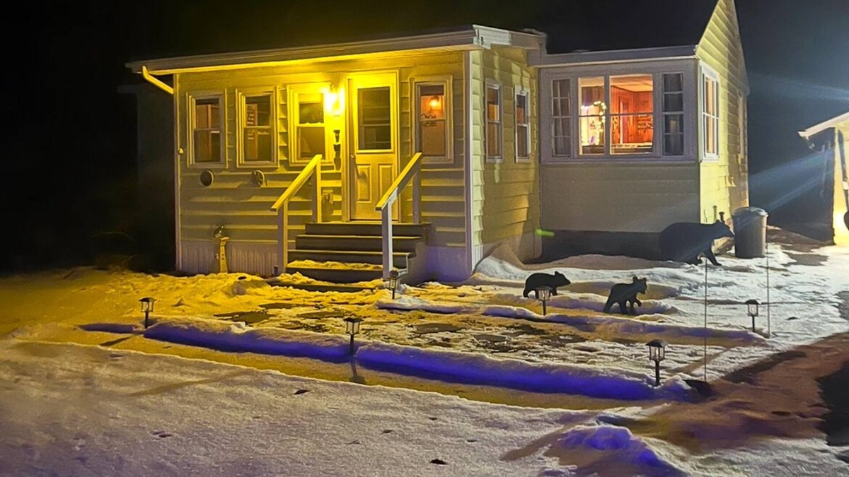 Caroga Lake Cottage | On Caroga Time - Year Round Cottage With Private Dock