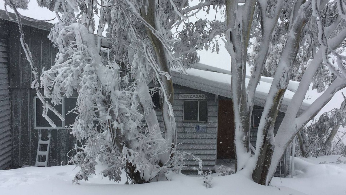 Mount Buller Cabin | On mountain accommodation