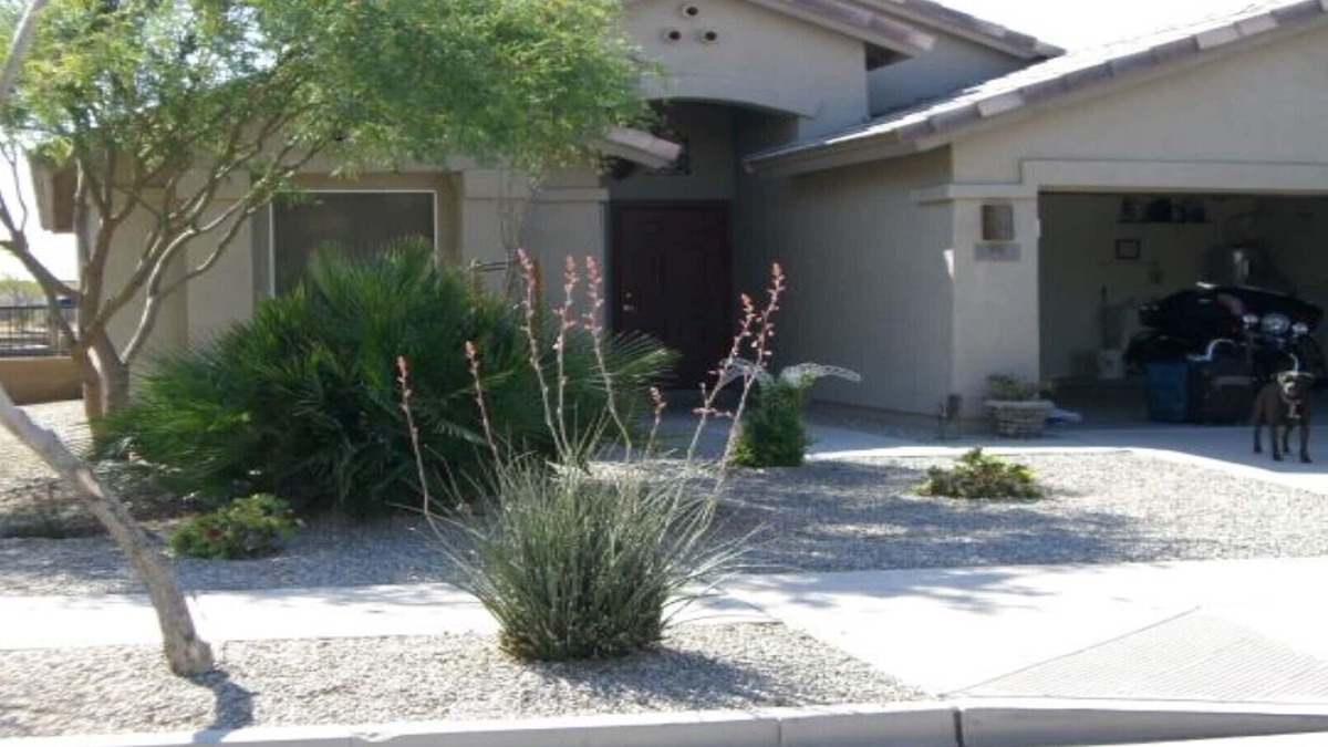 Mission Royale House | On The 14th Green ~ BEAUTIFUL WINTER VACATION HOME IN MISSION ROYALE CASA GRANDE
