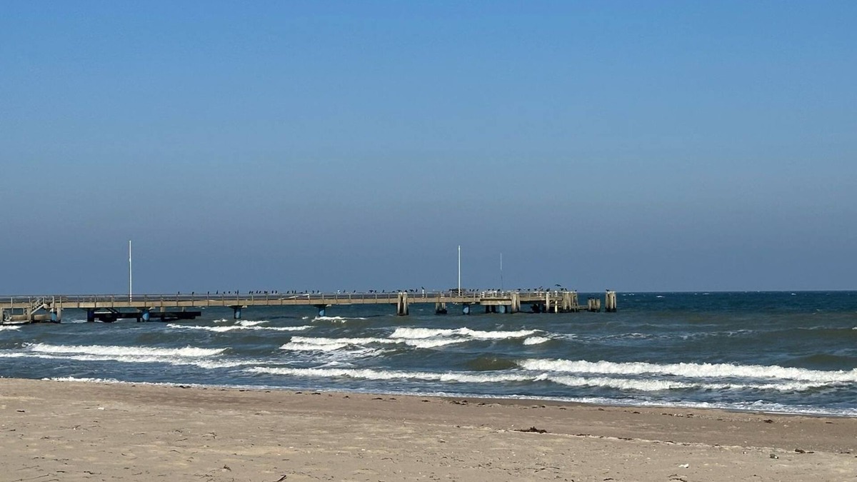 Reppenhagen Apartment | On the dike with sea view - 5401 - 5401 - Apartment 2 in Dahme