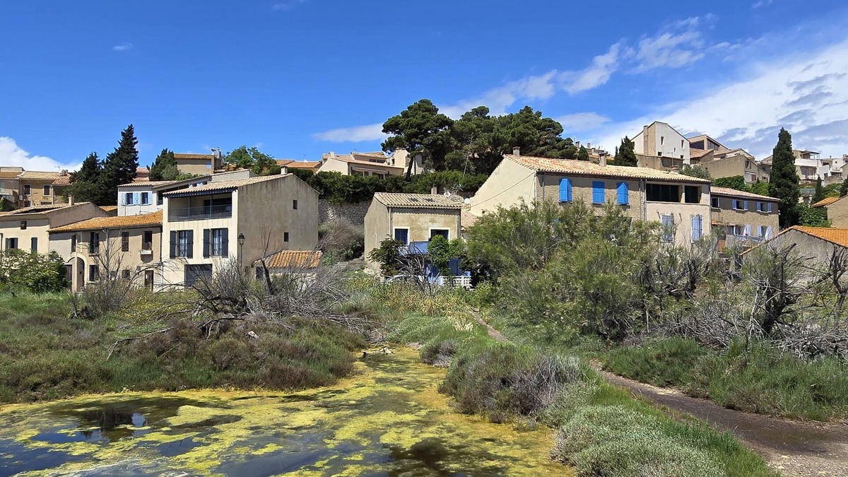 Bages House | On the edge of a salt pond, house with terrace facing the water and pink flamingos