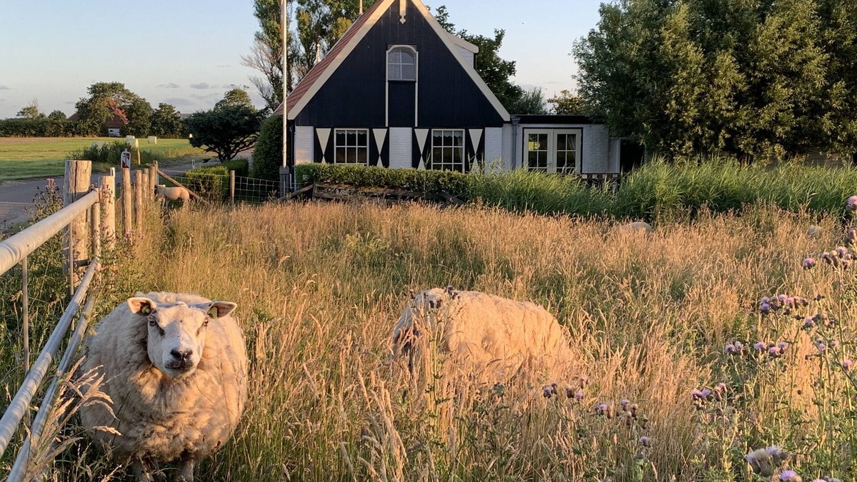 Municipality of Texel House | On the most beautiful spot of eastern Texel.