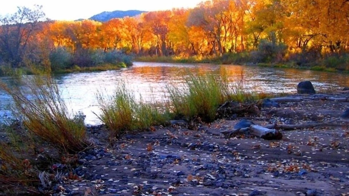 Ranchos De Taos House | On the Rio Grande River! Rinconada Rio Grande Retreat
