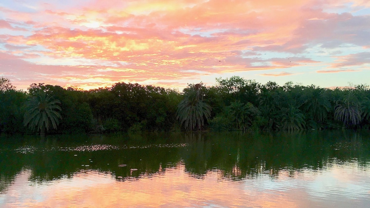 Progreso Lakes House | On the Water! Birdwatching in Progreso Lakes!