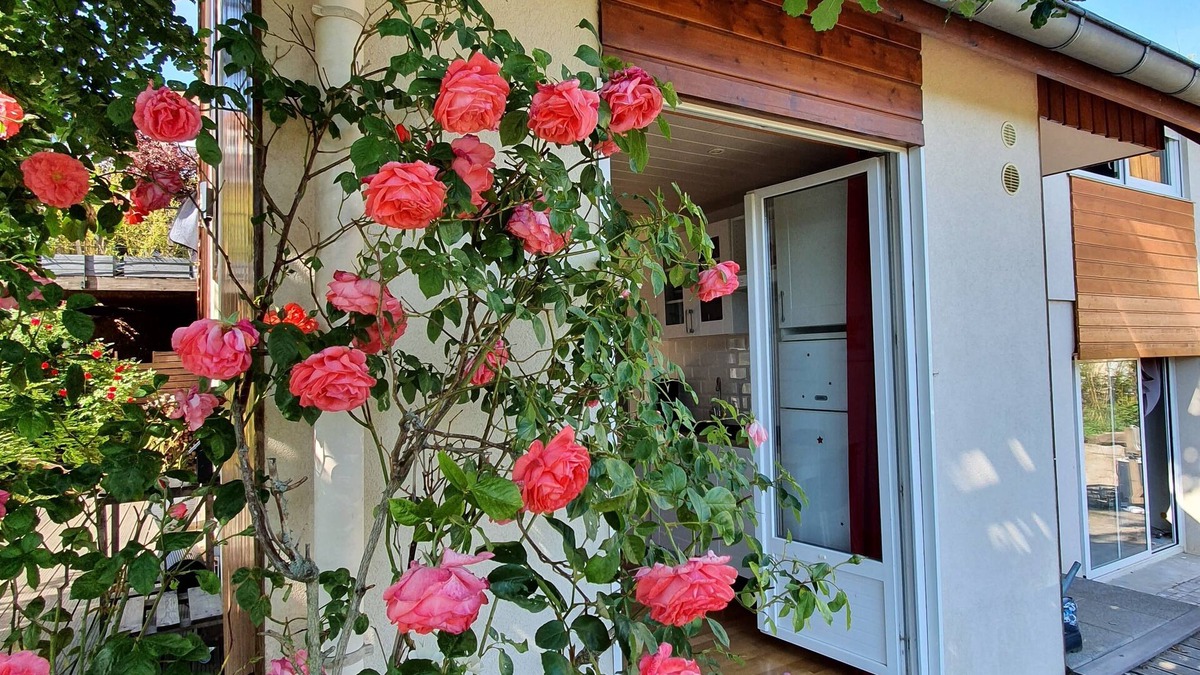 Barr Apartment | On your terrace at the foot of an oak tree, feel the Alsace's vibes !