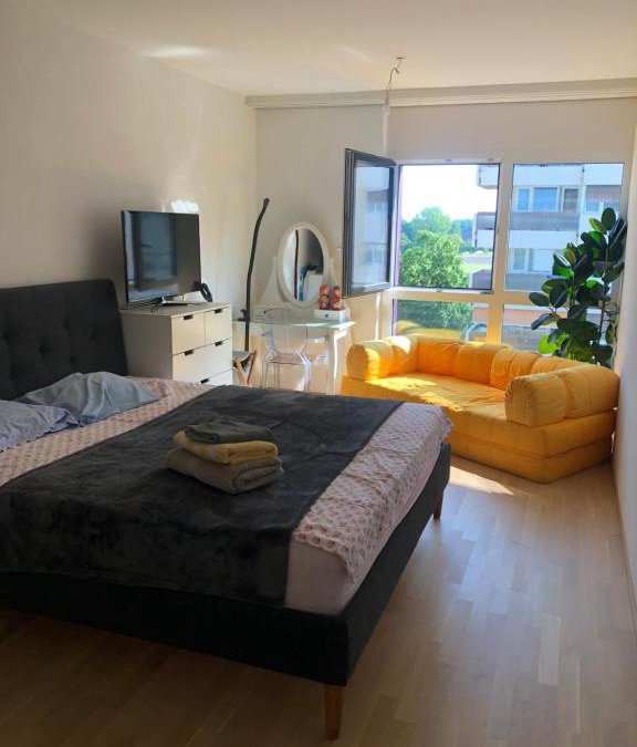 Meyrin Apartment | One bedroom 3pieces entire Modern Appartment close to Airport, CERN, Palexpo, public transport to the center of Geneva