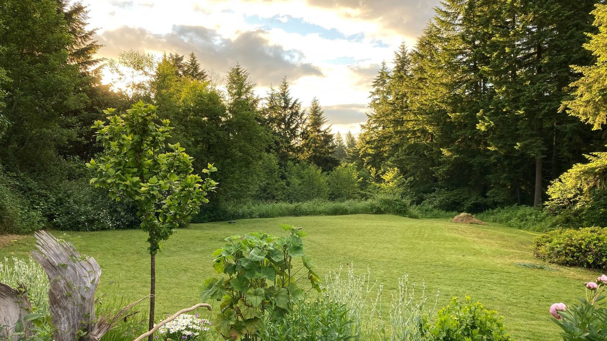 Tenino Apartment | One Bedroom Apartment at Top of the Hill