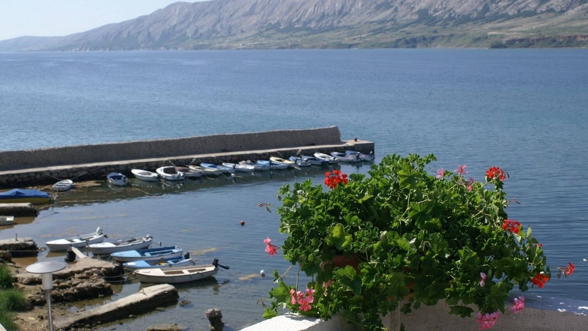 Kustici Apartment | One bedroom apartment with terrace Zubovići, Pag (A-4130-d)