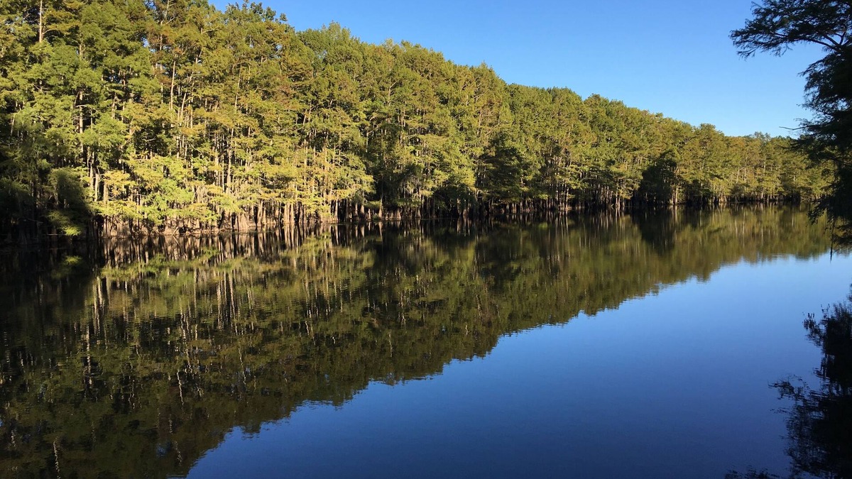 Jefferson House | One of a Kind-Get Away/Big Cypress Bayou Near Jefferson&Caddo