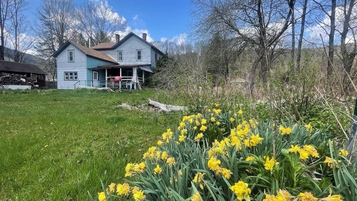 Downsville House | One of a kind spacious house located on the East Branch of Delaware riverfront