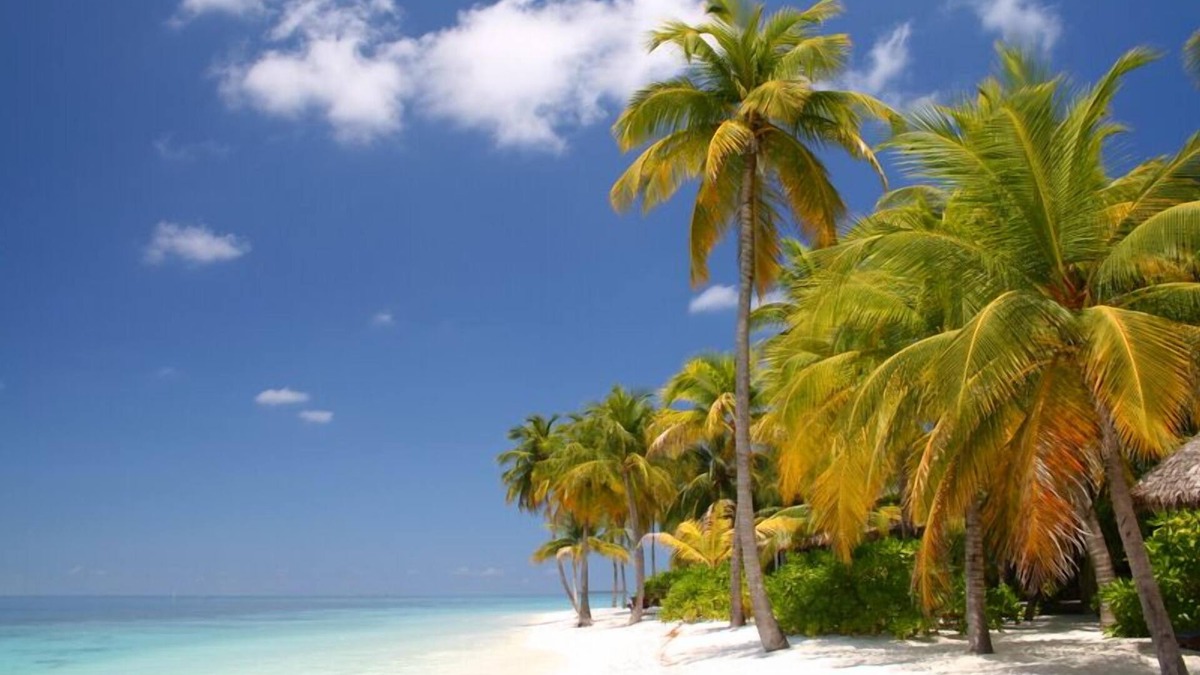 Key Colony Beach Condo | One of the Best Private Beaches in US! Great Location fun activities-Fast Wifi!