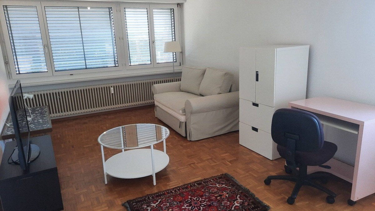 Uster District Apartment | One private room, ease to access to the city center, landscapes and airport